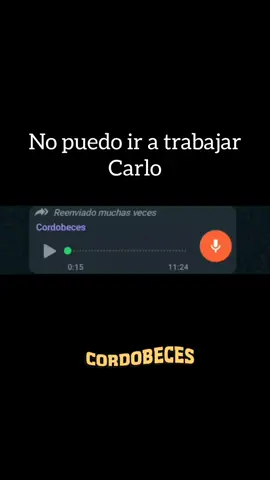 🤣 #humor #risa #comedia #trabajo #resaca #cordoba #cordobaargentina #parati 