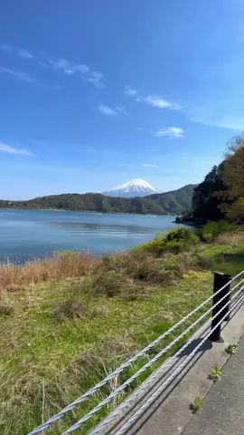 Are you planning a trip to Japan and have a love for cycling? 🚴‍♀️ We recommend adding Kawaguchiko to your itinerary #Kawaguchiko #MountFuji #Japan
