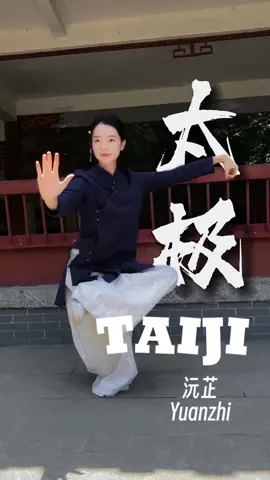 If this music had just been played in China, people would know it was time to practice Taiji. #kongfu #girls 