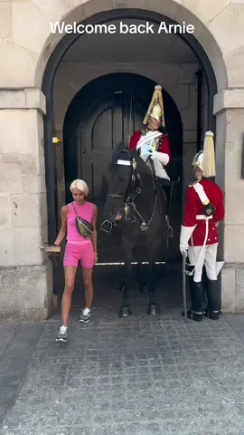 Welcome back Arnie #horseguardsparade #viral #kingsguard #fyp #foryou #foryoupage 