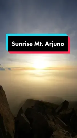 Sunrise di Gunung Arjuno ⛰️😍#fyp #cinematic #gunungarjuno #JawaTimur #hikingvlog #pemandanganalam 
