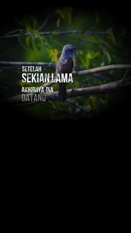 2 pemberi Nasehat,  Yang berbicara dan yang diam.. Al-Qur'an dan Kematian..