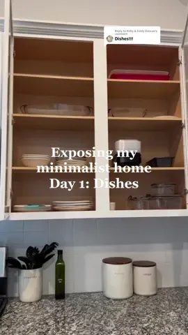 Replying to @Koby & Emily Duncan   here is the current organization of our dishes! Could definitely stand to get rid of some mugs/tumblers but they fit the space so thats what matters! 😛 #minimalisthome #minimalism #organizationtiktok #organizationtips #organizewithme 