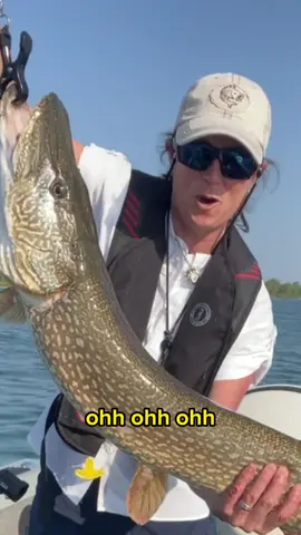 Still thinking about this big boy! 🎣 13lb 10oz Northern Pike... second biggest fish I've reeled in! #girlsfishtoo #pikefishing #catchandrelease #pike #canadafishing 