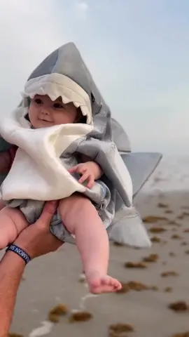 Baby Shark 🦈 Costume... Follow us for more innovative baby products #babyshark #babysharkparty #babysharkpartyideas #babysharkcostume #babycostume #babycostumes #babycostumesph #babywear #babywears #fy #foryoupage #fyp #fyppp