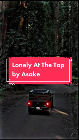 Lonely At The Top Song by Asake #asake #asakemusic #asakeworkofart #nigeria #nigeriantiktok🇳🇬 #naijalyrics #suninwestlyrics #afrobeats #tiktok #trending #fyp 