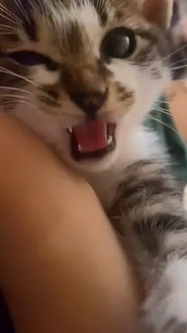 ☺️