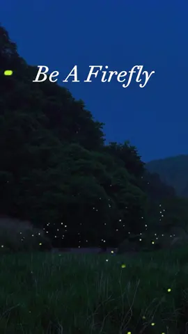 Fireflies always make me smile. I've been seeing lots of fireflies while walking at night. They are such a great reminder that we can bring joy to others by shining our own little light. #firefly #motivation #night #nighttime #happiness #joy #findingjoy #findingjoyintheeveryday #findingjoyinsimplethings