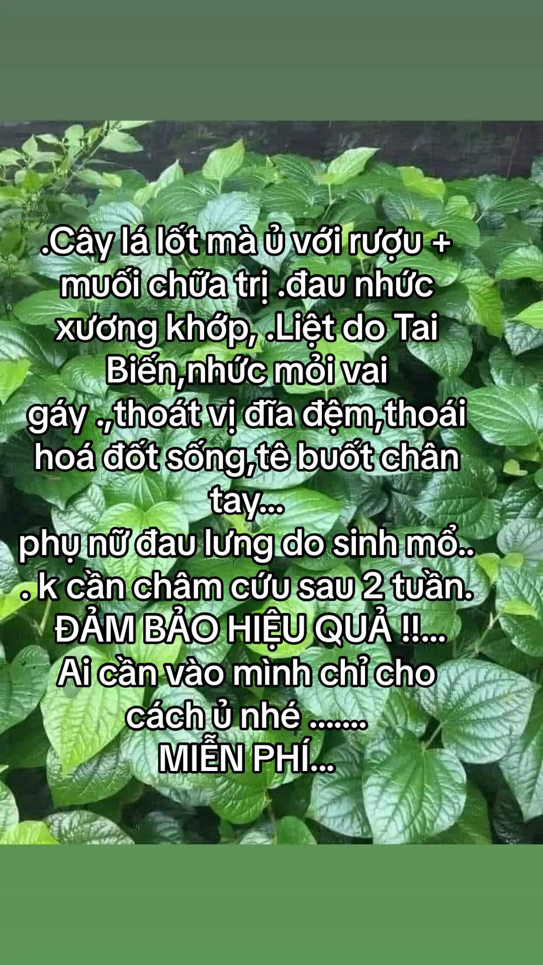 #xuhuongtiktok 