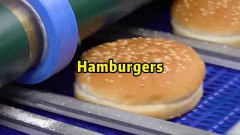 🍔#manufacture #oem #odm #factory 
