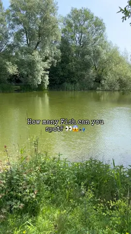 Who can get it right? 🤷‍♂️🎣 #fyp #foryou #foryoupage #fishing #fishinglife #fishtok #angler #carpfishing #nayzofishing #viral 