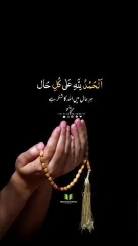 #سبحان_الله_وبحمده_سبحان_الله_العظيم 