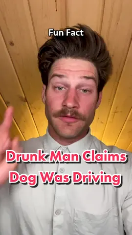 A man tried to avoid a DUI charge by switching seats with his dog and claiming the dog was driving. #dogdriving #dogdrivingcar #dui #drivingundertheinfluence #weirdfacts #weirdfactsyoudidntknow #interestingfacts #interestingfactsforyou #amazingfacts #amazingfactsforyou #coolfacts #coolfactz #coolfactsyoudidntknow #amazingfacts #amazingfactsforyou #randomfacts #randomfactstiktok #randomfactsforyou #facts #factz #factsontiktok #factsoftiktok #funfacts #funfactsoftheday #funfactsyoudidntknow #funfactstoknow #funfactsoftiktok 
