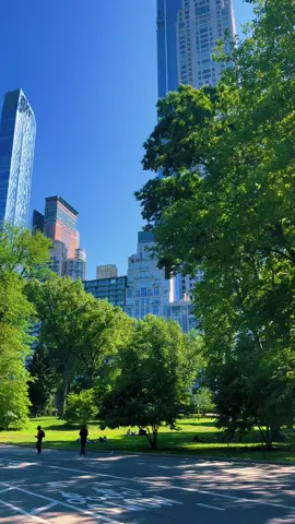 See you soon New York 🗽🫶🏻 #newyork #newyorkcity #newyorktravel #nyc #nyclife #timessquare #centralpark #centralparknewyork #manhattanbridge #jessiinusa #newyorkvibes #citylife 