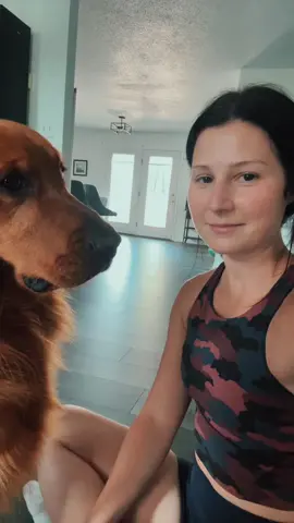 This had no chance of working.. face licks are his absolute favorite. #dogsofttiktok #fyp #goldenretriever 