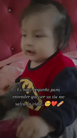 Mi gordito precioso... 🥺❤️🩹 #sobrino😍 #fpyツツ @lisethrh30 