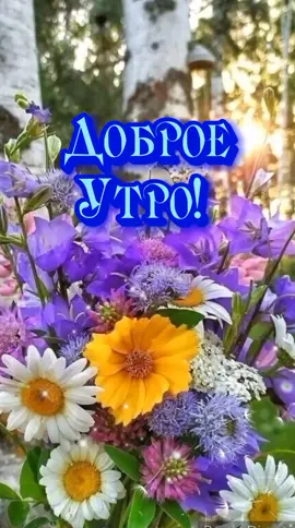 Доброе утро!