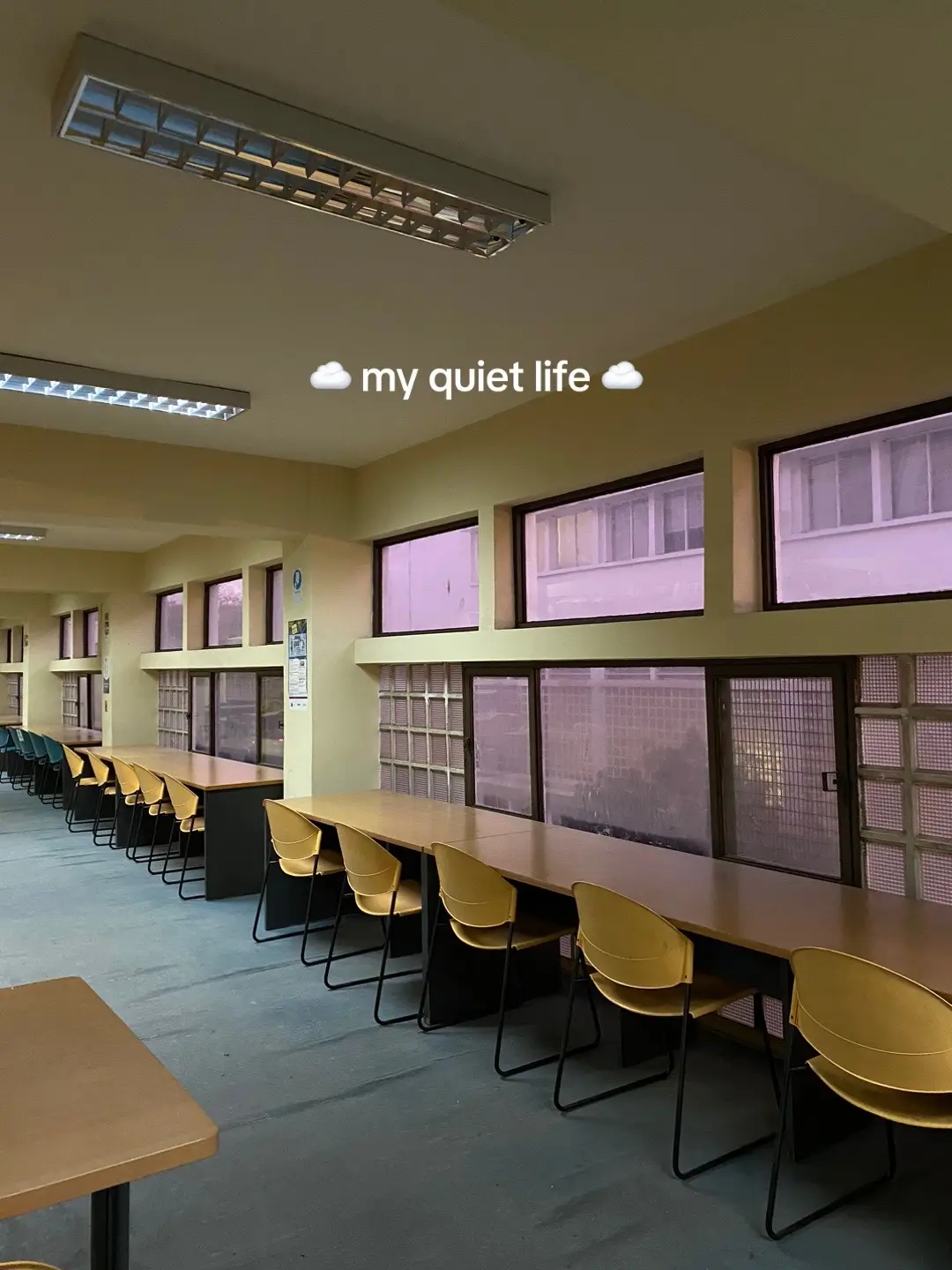 #quietlife #fyp  