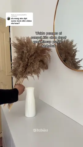 Replying to @mummysha95 #driedpampasgrass #bungapampas #bungadecor #bungahiasan #pampasgrass #pampasgrassdecor #pampas #driedpampas #pampasfluffy #fluffypampas #daunhiasanrumah