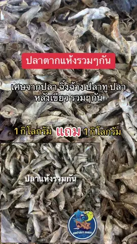 ปลาตากแห้งรวมๆกัน สามารถนำมาทำอาหาร หรือ เป็นอาหารให้น้องหมาน้องแมว #อาหารทะเลตากแห้ง #แพปาลิดาสงขลา #กดสั่งซื้อที่ตะกร้าได้เลยยย #tiktokthailand #เปิดการมองเห็นเถอะ 