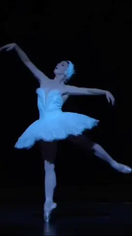 The Dying Swan , Natalia Osipova #thedyingswan #nataliaosipova 