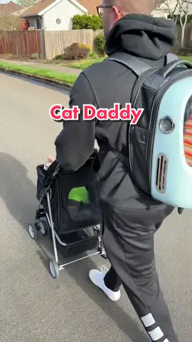 Happy Fathers Day to all the cat dads out there! I’ve turned him into a fine cat daddy whos favorite thing is now walking our cats in their strollers 😉 #sphynx #hairlesscat #catsoftiktok #FathersDay #catdad #catstroller 