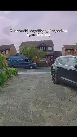 She was just excited for her parcel 🎥ARK Media #fyp #dog #dogsoftiktok #amazon 