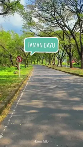 Punya cerita apa pas lewat sini rek? . Video by _farid________  Lokasi taman dayu  .  #wisatapasuruan #kedamaian #ketenangan #rain #forest #nature #naturephotography #indonesia #pejalansantai #goodmorning #goodvibes #foryoupage #selamatpagi #lensfdk
