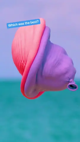 EVERYTHING looks better in slow motion! 🎥 #slowmo #satisfying 