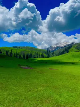 Siri Pae Shogran #naran #tourism #pakistan #kpk #shogranvalley #siripaye #Love #beuty #fypシ 