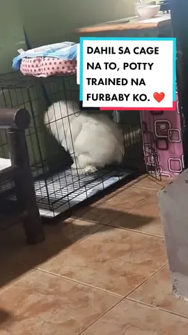 Potty trained na ang furbaby namin! Kaso nga lang.... Watch till the end... #tiktokfinds #petfinds #dogcage #tiktokshop #petlover #petcaretips #petcare #petthings #shihtzu #fyp 