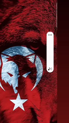 🐺🤘🇹🇷#türkiye #vatan #fyp #millet #devlet #asena #foryou #bozkurt #viral 