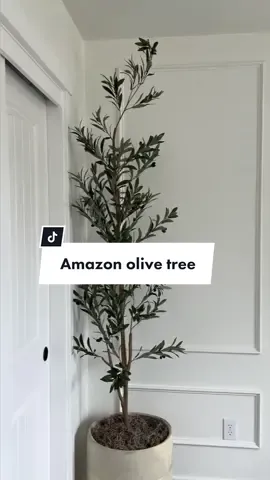 Tree linked in store front and LTK! #amazonmusthaves #amazonfinds #amazonhomefinds #amazonhomefavorites #amazonolivetree #amazondecor #amazondecorfinds #fyp #fypシ #fypage #fypシ゚viral #homeblogger #homeinfluencer #minimalorganicdecor #modernorganicdecor 