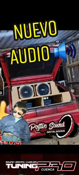 Se viene nueva categoría.. Pro Pro prooooo 🚗💯  #duet #tiktok #viral #audio #tuning #pro #cuenca #ecuador🇪🇨 #CapCut #sound #fy #flower #básico 