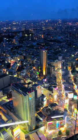 渋谷スカイ、人生で一度は訪れてみてほしい🥹🥹