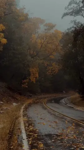 I don't try to rush but this is my favorite weather #peaceandnature🌿 #fyp #vibes #foryoupage #naturesounds #aestheticvideos #peaceful #thunderstorm #rain 