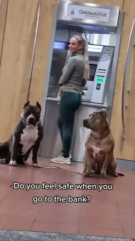 👌safety first.💟 🎞: TikTok @ american_bullyz_icedout ( All credits are reserved for their respective owners 💼 ) ---------- 👨‍👨‍👦‍👦 👫⤵ Double tap & tag your friend Below! 💖 💗 😍😍😍😍 🛎 Turn Post Notification On * Follow our and tag us in your next picture for a chance to be shared! ​​​​​​​​👣⬇Check out our store in the bio Thank you so much 💘 🔸 🔸 🔸 #pitbulllover #pitbullswag #americanpitbullterrierpuppy #pitbulllife #pitbullsofinstagram #pitbulllove #pitbulls #pitbullshoutouts #pitbullofinstagram #pitbull_love #pitbulllifestyle #pitbullnation #pitbullmix #pitbully #pitbullgirls #pitbullrednose #pitbullfans #americanpitbullterrier