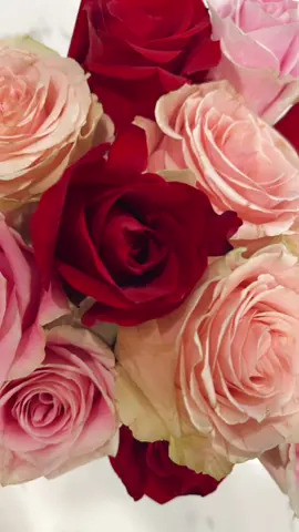 I will forever be obsessed with roses! (and every other flower😉) #flowers #Home #freshflowers #Love #refresh #explore #roses