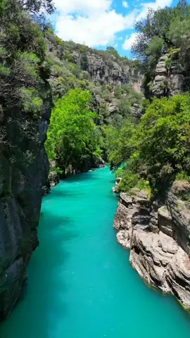 Nature's bounty 😌🍀 #naturel #naturelife #naturelife🌲🌴☀️🌅 #naturelovers💖 #naturescereal #watersounds #naturesounds #waterfalls #fallstyle #landcape #canyon #canyonswing #riverwater #bluewater #naturephotography📷 #tiktokviralreel #tiktoktravels #trendingreelsvideo #keşfetttttttttttttttttttttttttttttttttttt #türkiyetiktokkeşfet #tiktoktürkiye ❤️ #viralvideos_07 #viralvideos #viralreel #trendvideolar #americantiktok #naturetiktoks #capcuttiktok #capcuttiktokvideos 