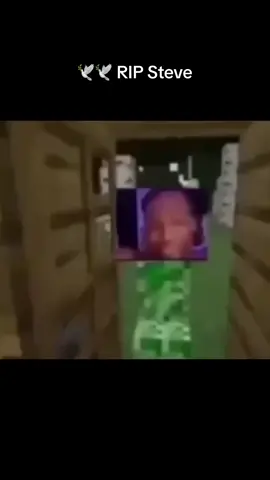 Fly high steve 🕊️🕊️#Minecraft #imabouttoblow #dreamybull 
