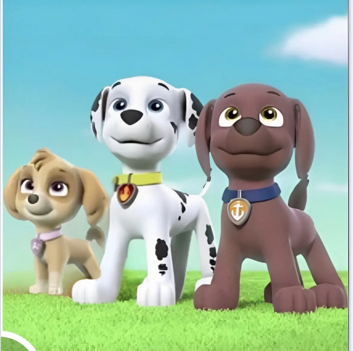 Assembling the gang #pawpatrol #skye #marshall #zuma #dogs #fyp #lookalike