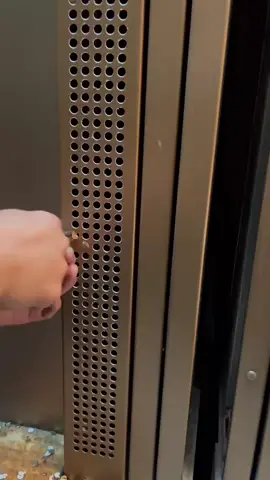 Cutting the holes out
