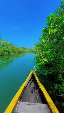 ഒരു മഴയും തോരാതിരുന്നിട്ടില്ല .....🍀 ഒരു രാവും പുലരാതിരുന്നിട്ടില്ല......🍀 ഒരു കാറ്റും അടങ്ങാതിരുന്നിട്ടില്ല .....🍀 ഒരു തീയും അണയാതിരുന്നിട്ടില്ല......🍀 ഒരു നോവും തീരാതിരുന്നിട്ടില്ല..🍀 ഈ സമയവും കടന്ന് പോകും💖 സ്നേഹപൂർവ്വം ഏവർക്കും സുപ്രഭാതം🌹🌹#goodmorning #صباح_الخير #nahrain #status #bahrain🇧🇭 #bahraintiktokers🇧🇭 #malayalamsongs #പ്രണയം #kerlam 