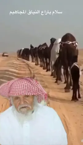#عمي_الشيخ_مضحي_ماطر  #ابن_عرويل اطال الله في عمره#ابو_ضواحي 