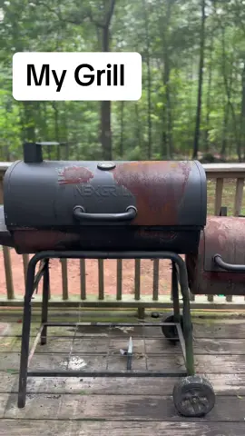 What should i name her? #grilling #grilltok #foryou #cooking #FoodTok #grill 