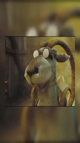 Sr Bode minha vó está em perigo #memes #viral #bode #animes 