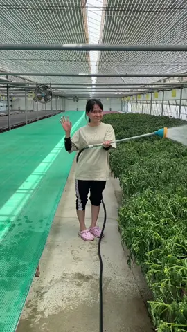 Đi hàn khum khó chỉ cần chịu khó chi phí đi hàn tất tật nè mn. đăng lại.   #CapCut #hanquoc한국 #laođộnghànquốc #nôngnghiệp #e9 