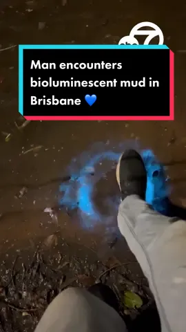 A man exploring a creek in North Brisbane, Queensland couldn’t contain his excitement when he noticed bioluminescence glowing around his footprints, exclaiming, “It’s like something out of Avatar!” 💙 #abc7la #abc7eyewitness #news #bioluminescent #Brisbane #Queensland #glowing #avatar 