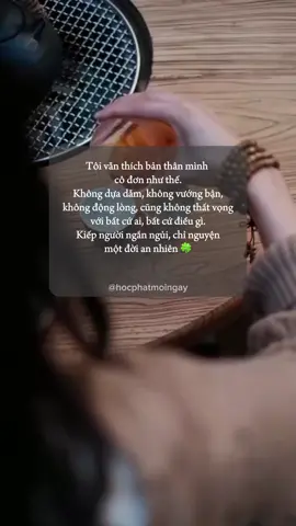 Nam Mô A Di Đà Phật 🙏🙏🙏 #hocphatmoingay #phatphapnhiemmau #LearnOnTikTok #vongtramhuong #vongtayphongthuy 
