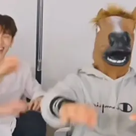 #STRAYKIDS || Part 1! the horse is han btw xD the next part will be coming soon || #foryoupage #foryou #fy #fyp #fyy #funny #skz #moments #part1  #letthisblowup >>